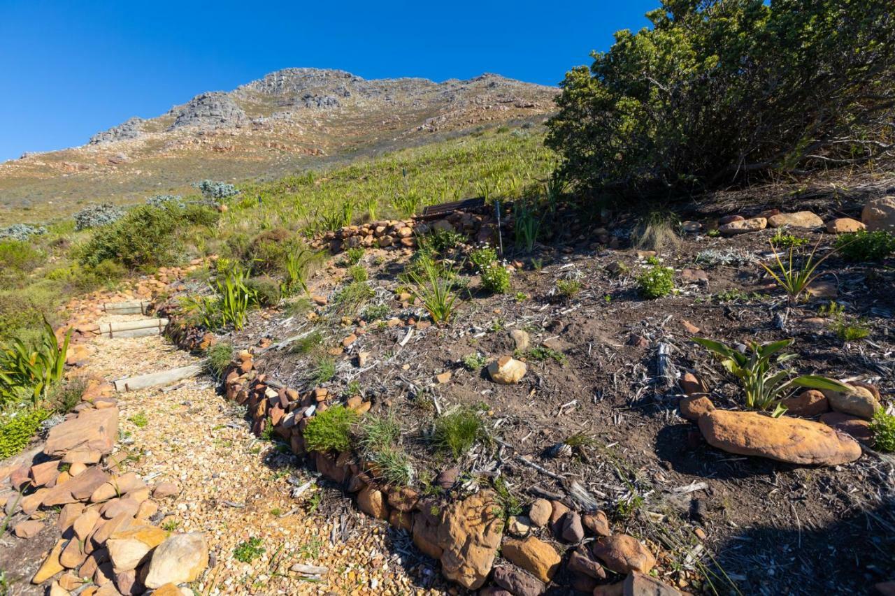 Port Of Call Simonʼs Town Kültér fotó